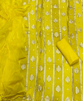 Classy Organza Banarsi Suit Set