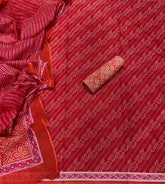 Celestial Pure Cotton Print Suit Set (Luxury Feel)