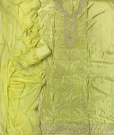 Classy Pure Organza suit set with Stone work - Yanchi