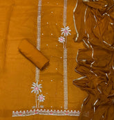 Fancy Shimmer Suit Set with Sequins & Zari Work - Yanchi