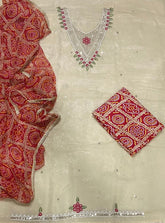 Fancy Shimmer Suit Set with Zari & Sequins Work - Yanchi