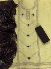 Fancy Shimmer Suit Set with Zari & Sequins Work - Yanchi