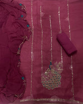 Fancy Shimmer Suit Set with Zari & Sequins Work - Yanchi