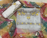 Pure Organza Suit Set with Cutdana & stone and work - Yanchi