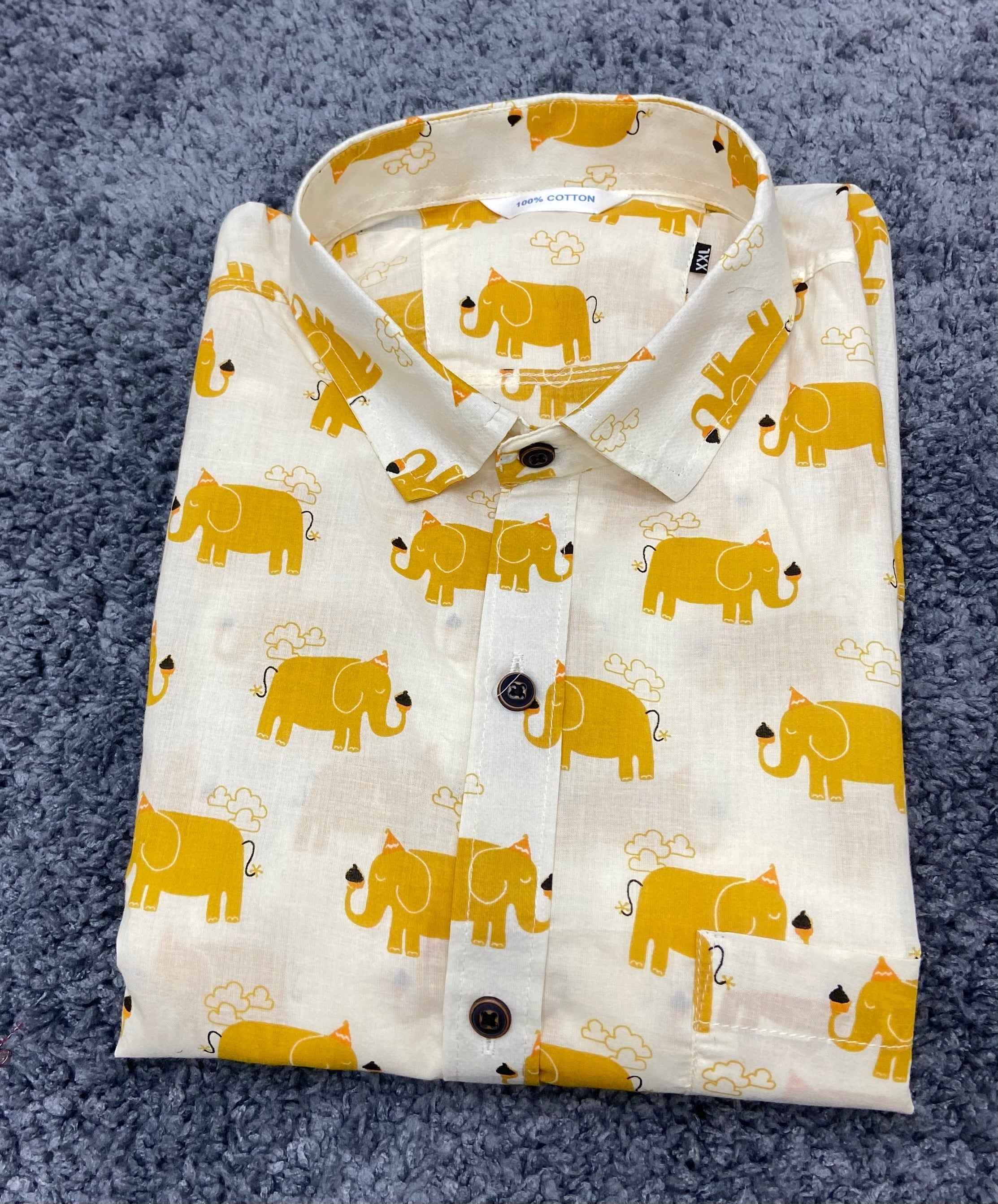 Sanganeri Men's Shirt