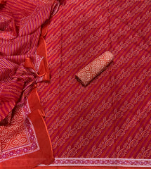 Celestial Pure Cotton Print Suit Set (Luxury Feel)