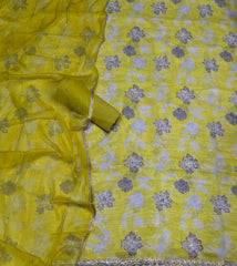 Fancy Burberry Digital Print Suit Set with Pearl & Cutdana Work