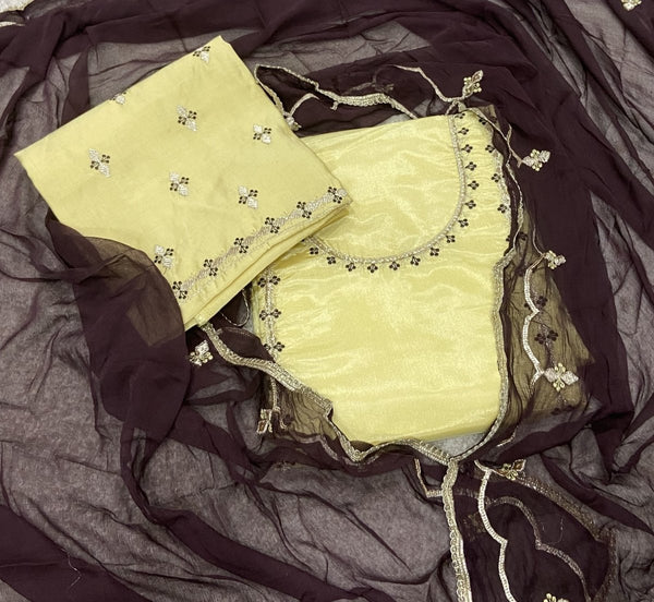 Classy Glass Organza Suit Set with Cutdana & Zari Thread Work - Yanchi