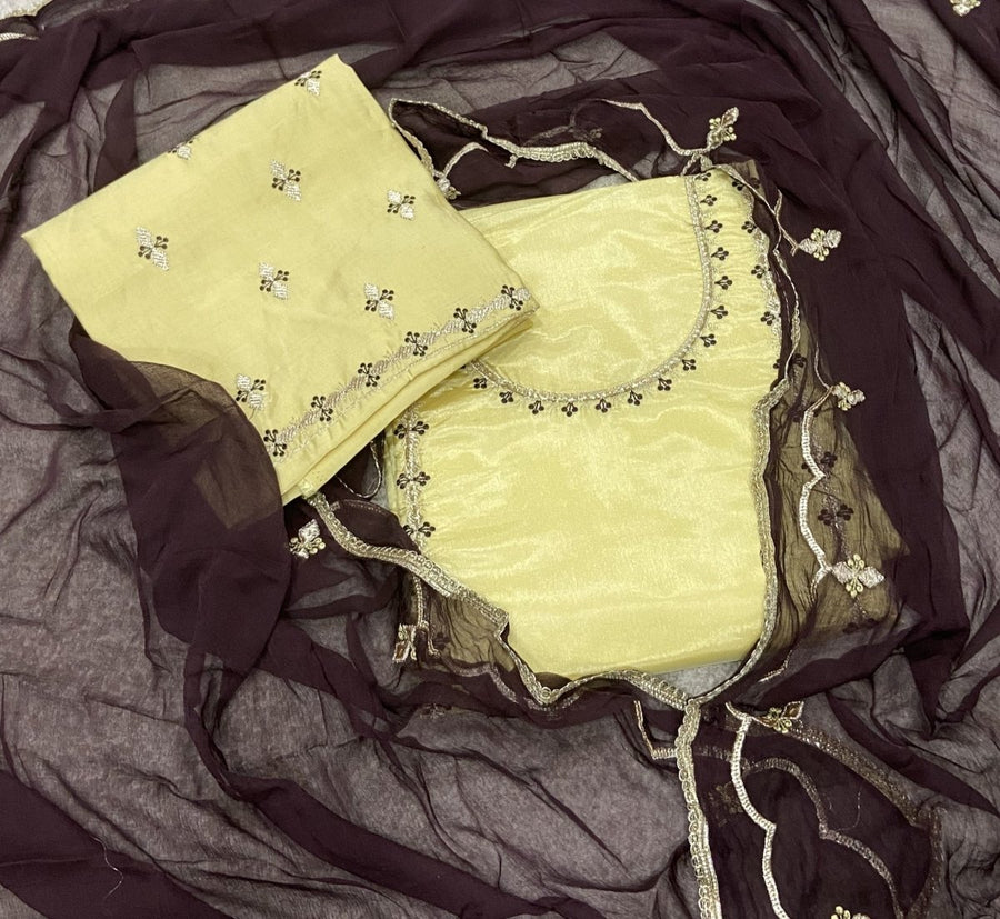 Classy Glass Organza Suit Set with Cutdana & Zari Thread Work - Yanchi