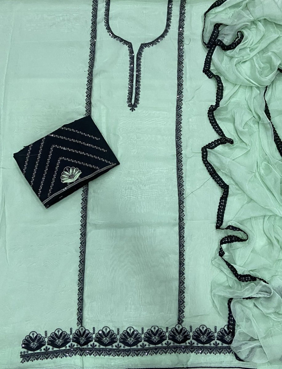 Classy Glass Organza Suit set with dhaga Work - Yanchi