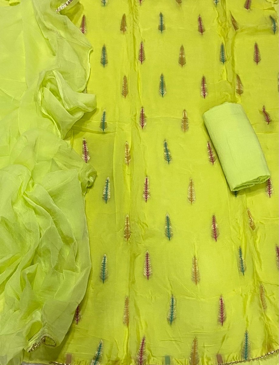 Classy Organza Banarsi Suit Set - Yanchi