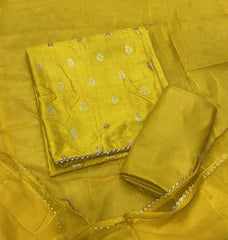 Classy Organza Banarsi Suit Set - Yanchi