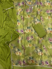 Classy Organza suit set with Mirror Work - Yanchi
