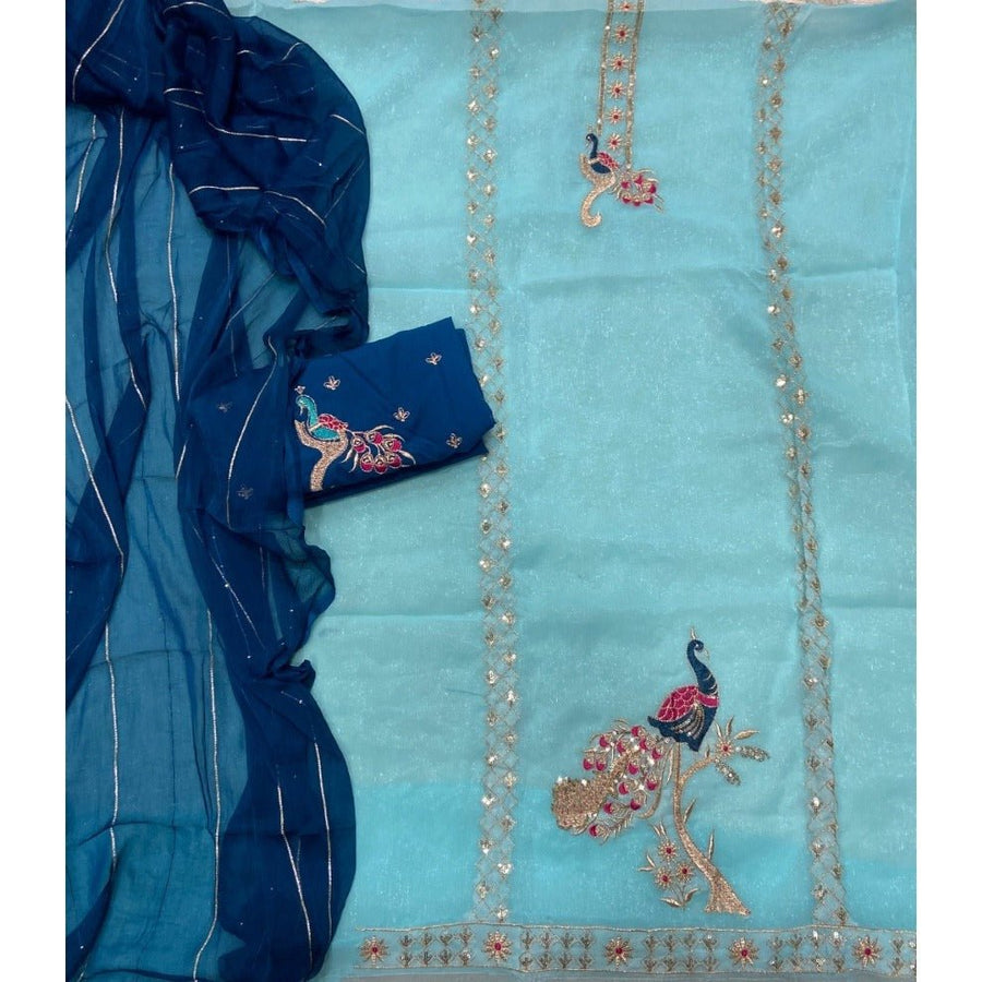 Classy Shimmer Suit Set with Zari Work - Yanchi