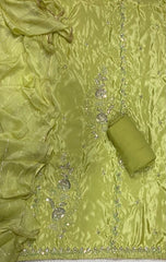 Fancy Glass Organza Suit Set with Heavy Sequins & Beads Work - Yanchi