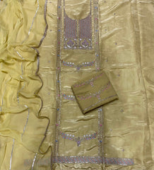 Fancy Glass Organza Suit Set with Zari Thread & Sequins Work (Bottom work) - Yanchi