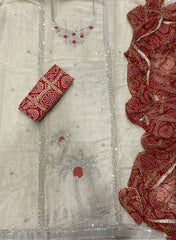 Fancy Shimmer Suit Set with Bits & Sequins Work - Yanchi