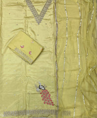 Glass Organza Suit Set with Sequins & Thread Work - Yanchi