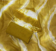 Pure Organza Suit Set - Yanchi
