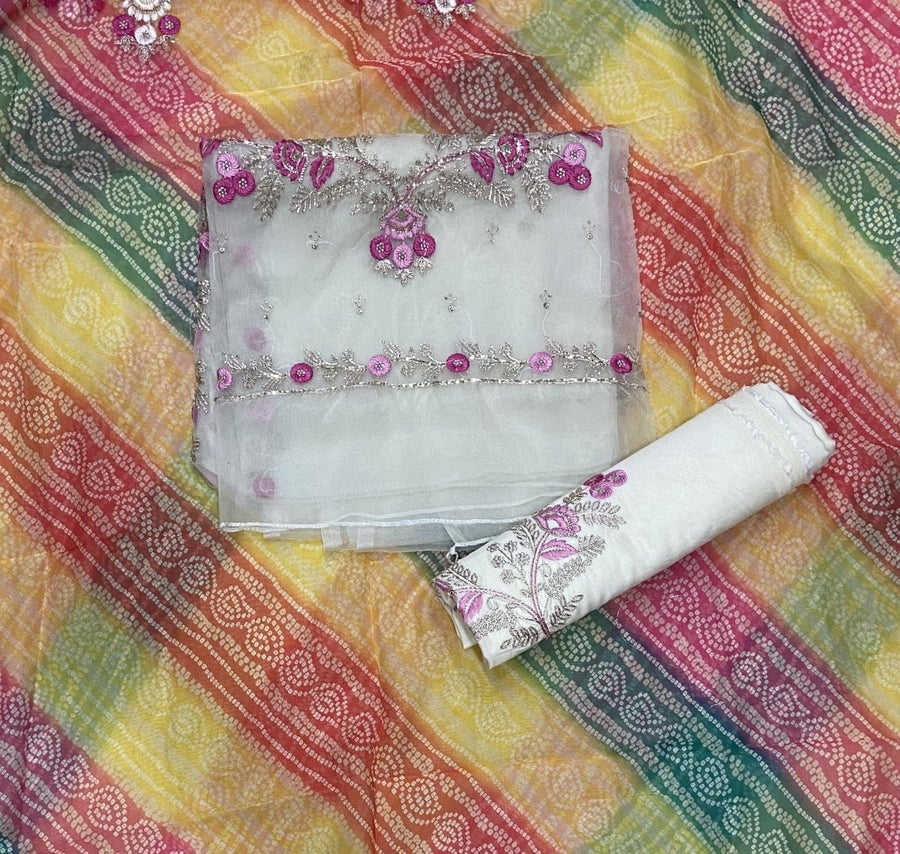 Pure Organza Suit Set with Cutdana & stone and work - Yanchi