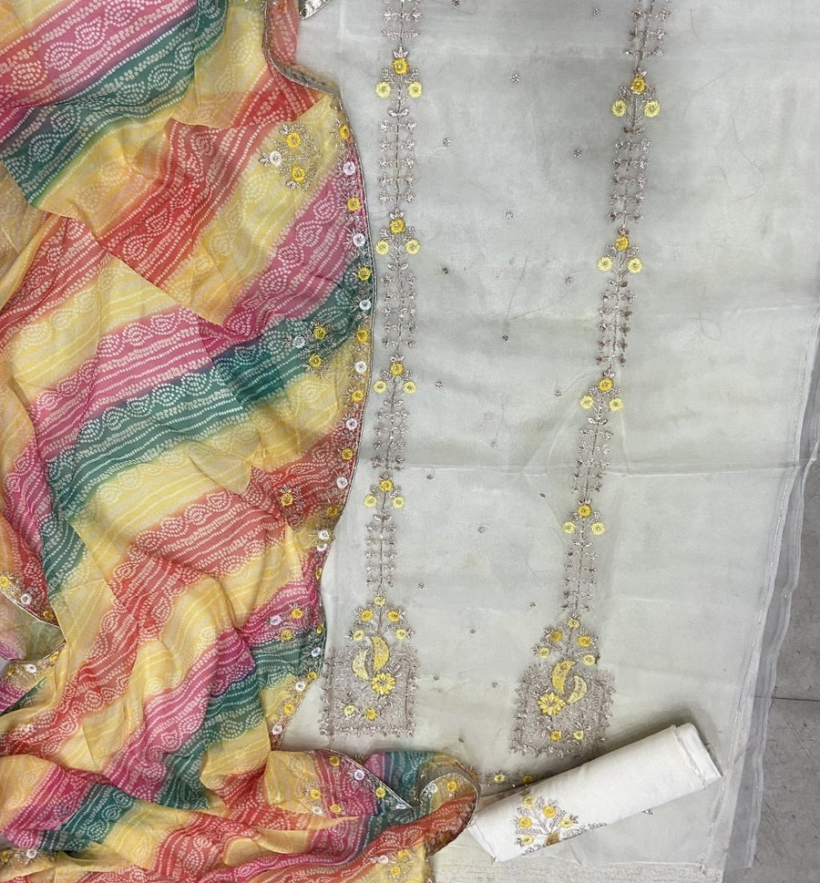 Pure Organza Suit Set with Cutdana & stone and work - Yanchi
