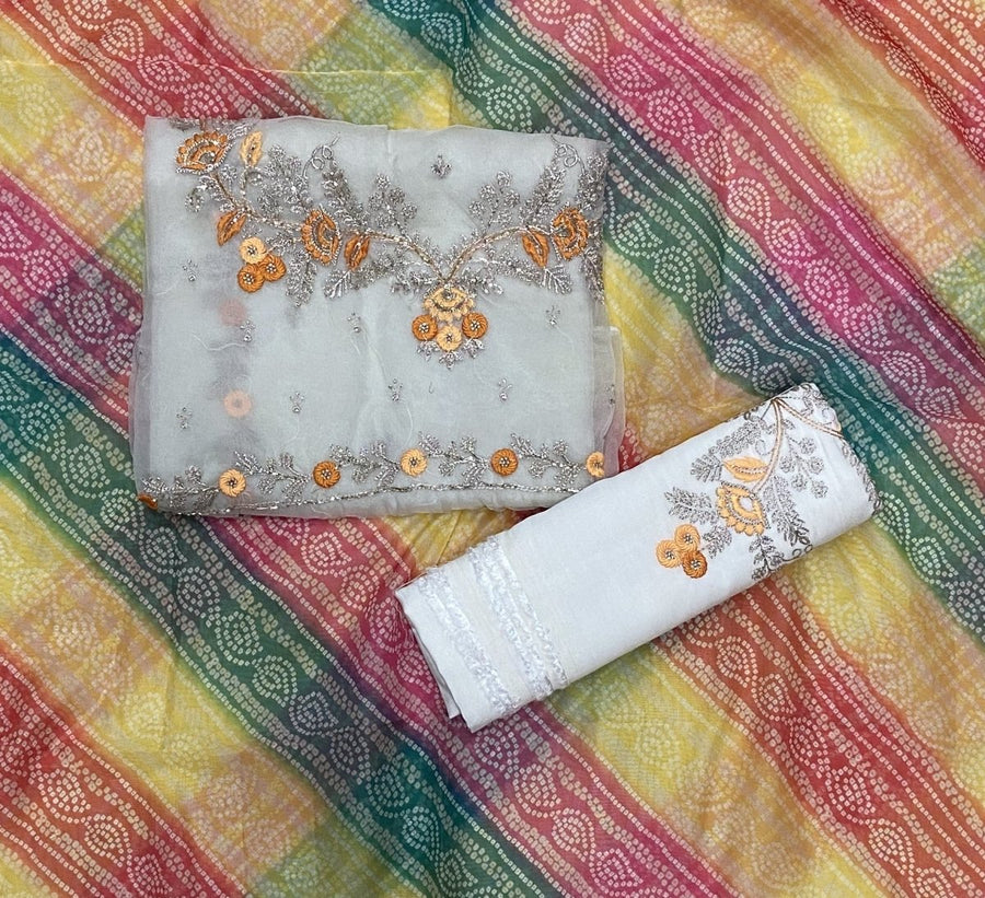 Pure Organza Suit Set with Cutdana & stone and work - Yanchi