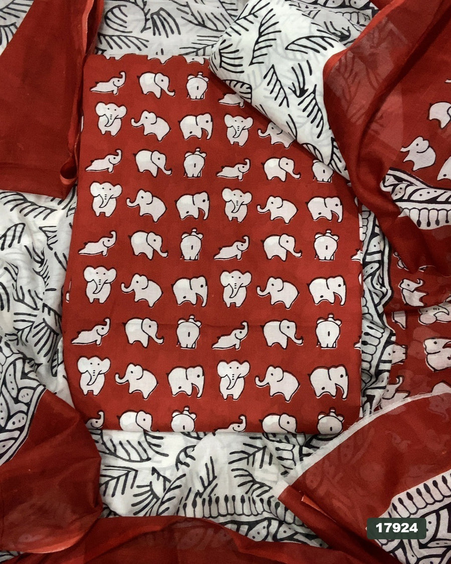 Celestial Pure Cotton Print Suit Set (Luxury Feel)