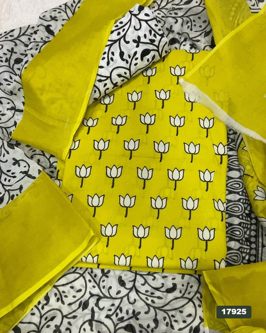 Celestial Pure Cotton Print Suit Set (Luxury Feel)